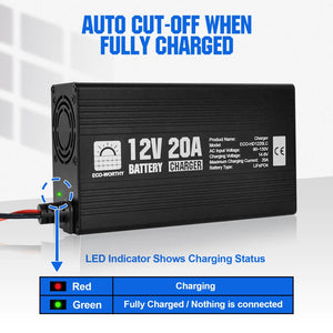 Eco-Worthy solar-20A 12V Smart Battery Charger for Lithium (LiFePO4) Batteries