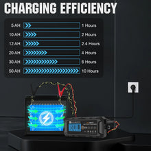 Cargar imagen en el visor de la galería, Eco-Worthy solar-5A &amp; 10A 12V Smart Battery Charger with LCD Display for Lithium (LiFePO4) Batteries
