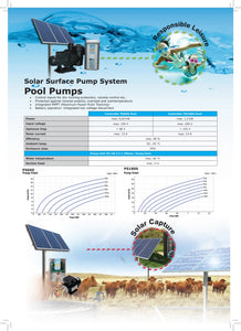 LORENTZ Solar Pumps-Lorentz PS600-Solar Pool Pump-19,000 litres / hour
